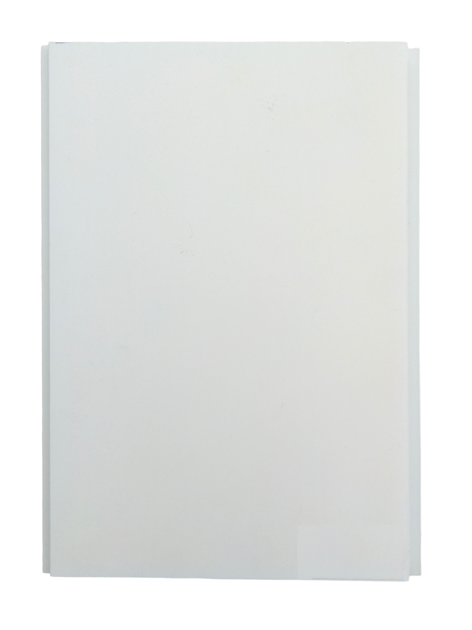 LAMBRIS ALVEOLAIRE 20 CM BLANC LISSE - Pack 5 lames PVC intérieur/extérieur